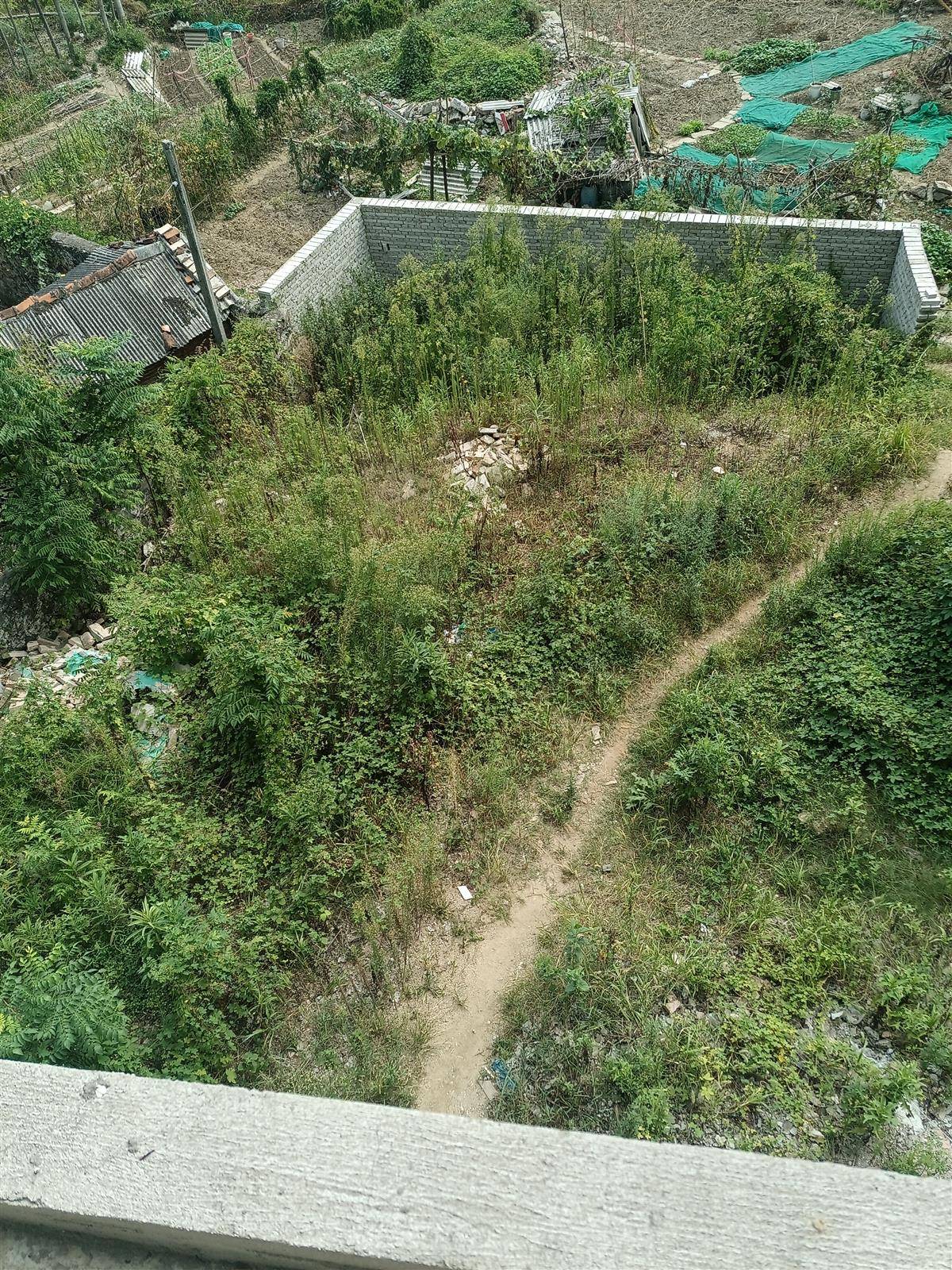 付贩附近自建房，2列半三层带地下车库，浇灌结构，带100平后院，进出方便，售价120万