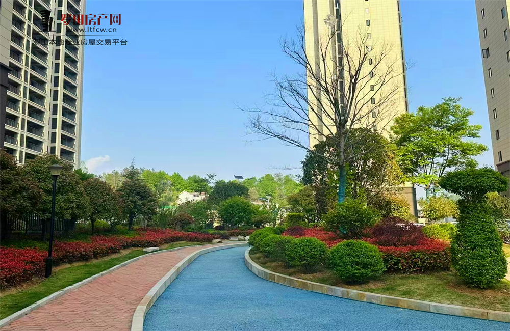 金东嘉苑丨城央现房实景绽放，启幕主城品质人居新篇
