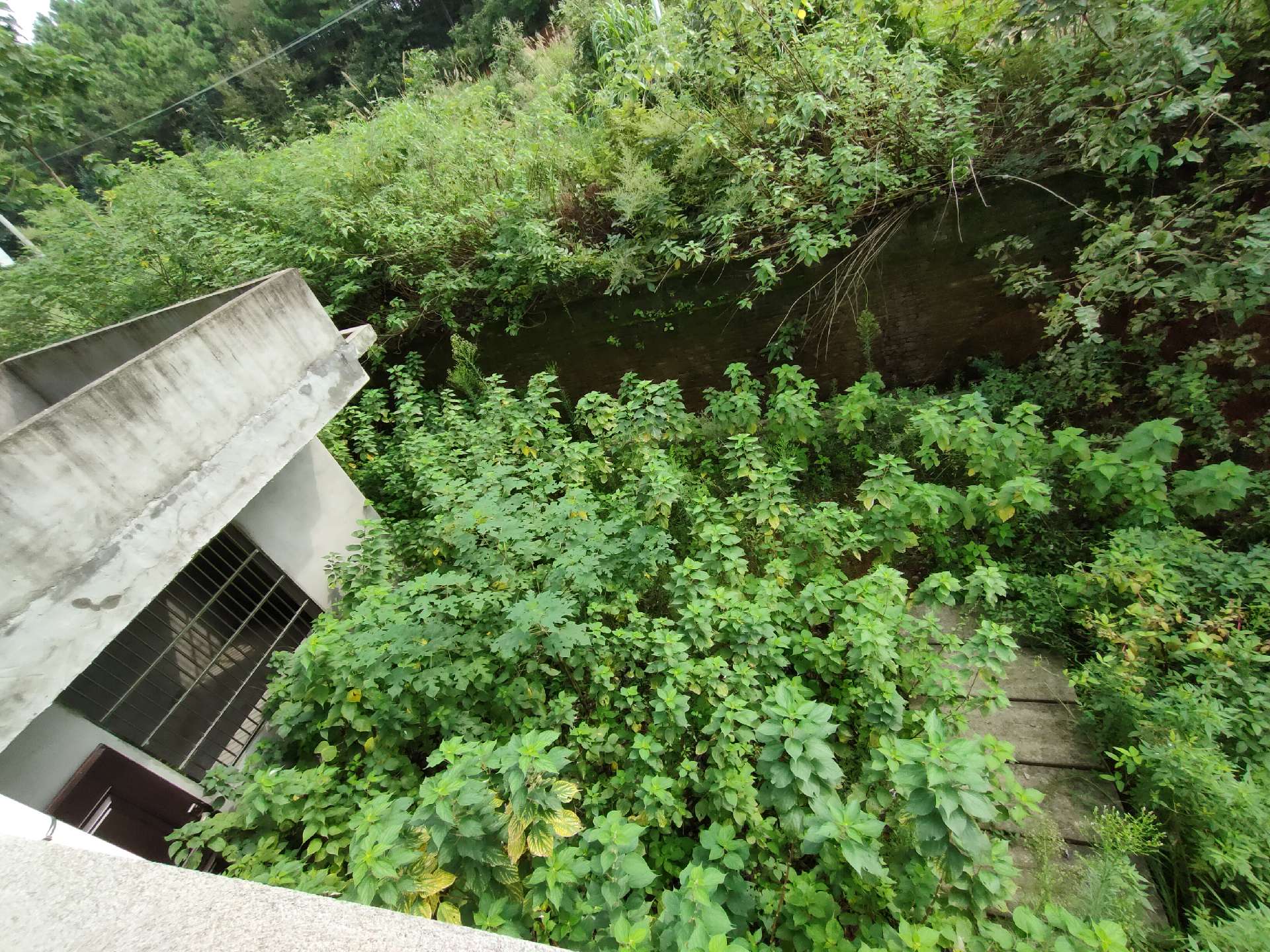 百草园旁边单门 院，490平，全新毛坯，框架结构