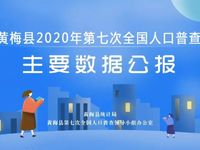 黄梅县2020年第七次全国人口普查主要数据公报