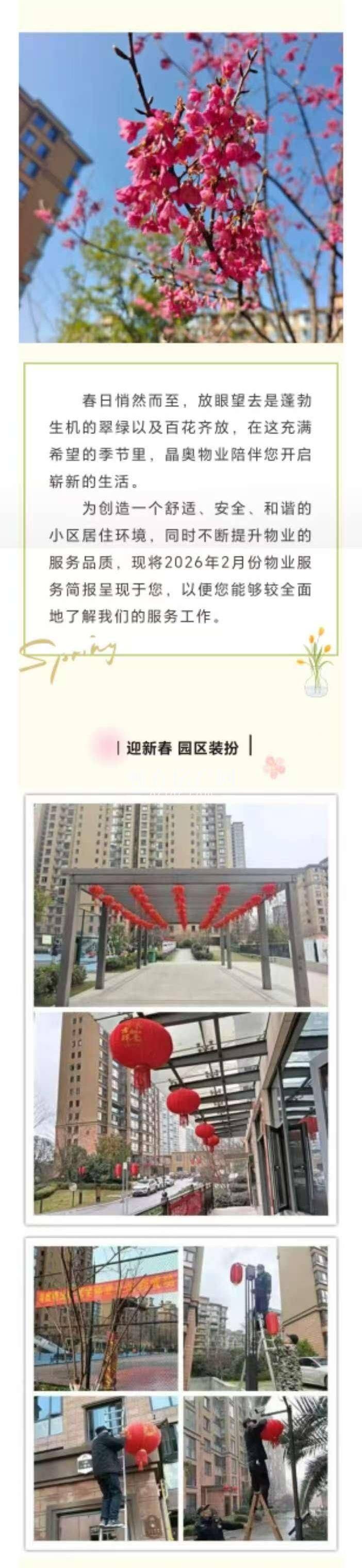 金色阳光城2026年2月工作月报