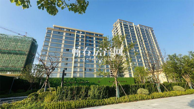 不将就，才是生活的标准答案。安家紫金一品，从此不同。