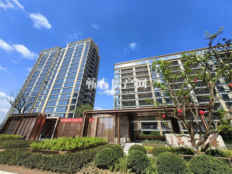 紫金一品｜蕲春人居新标杆，零公摊准现房惊艳登场