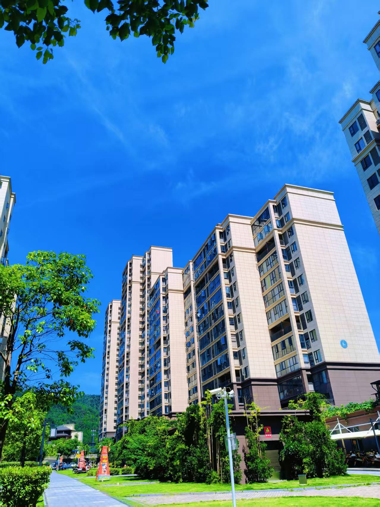 书香尚城｜实景现房 让幸福看得见摸得着