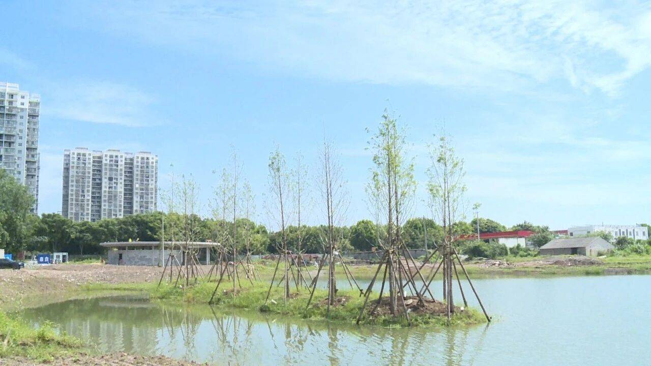 进度超六成！武穴明珠体育公园雏形初现