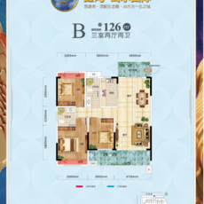 鑫龙·山水国际2号地块 B户型户型图