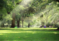 养心谷丨与公园为邻 同自然共生 邂逅绿意人生