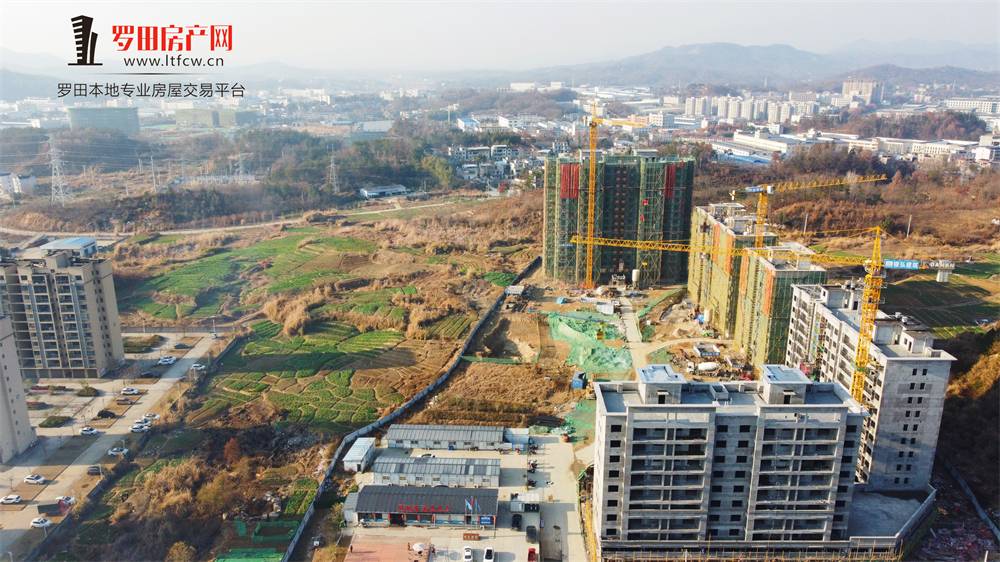 精工淬炼，匠心筑家|凤城慧府12月进度播报