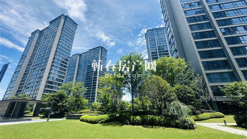 紫金大院 现房“价”到，你想要的美好生活，其实很简单！