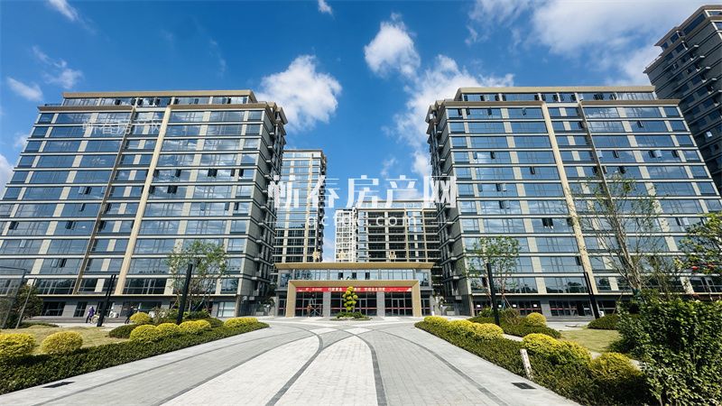 【紫金一品】城南芯，实景家，安家置业正当时！