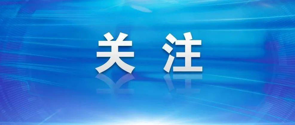 武穴市中小学校布局调整规划（2022—2035年）