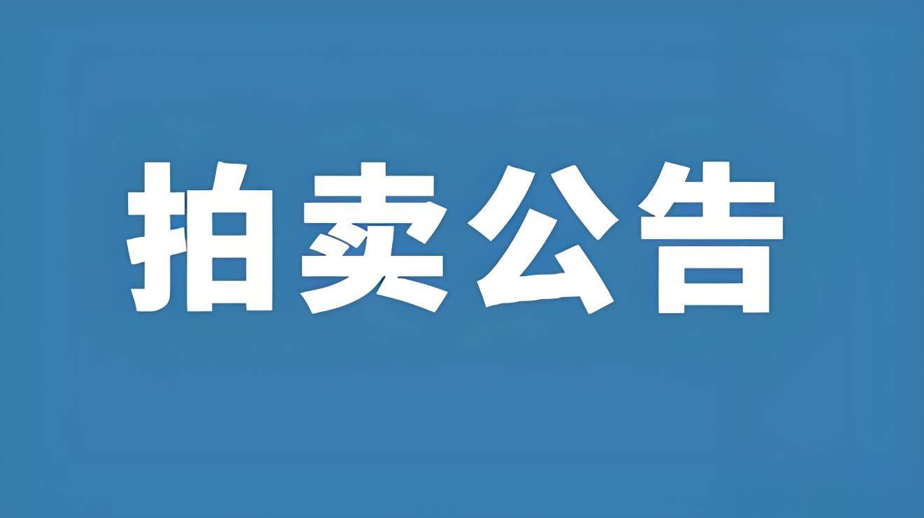 罗田县公共区域广告位市政公共资源30年经营权拍卖公告