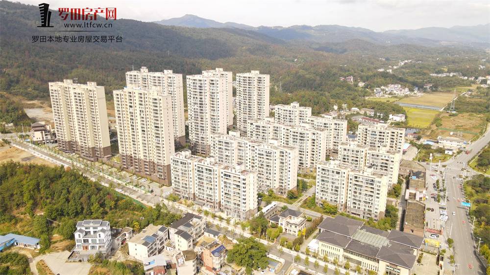 书香尚城｜实景可见 心安可期！