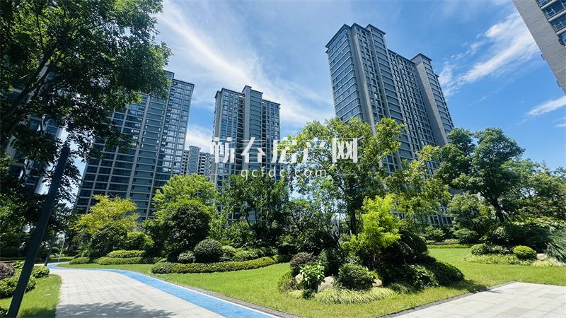 紫金大院丨左右逢“园” 目光所及皆是风景