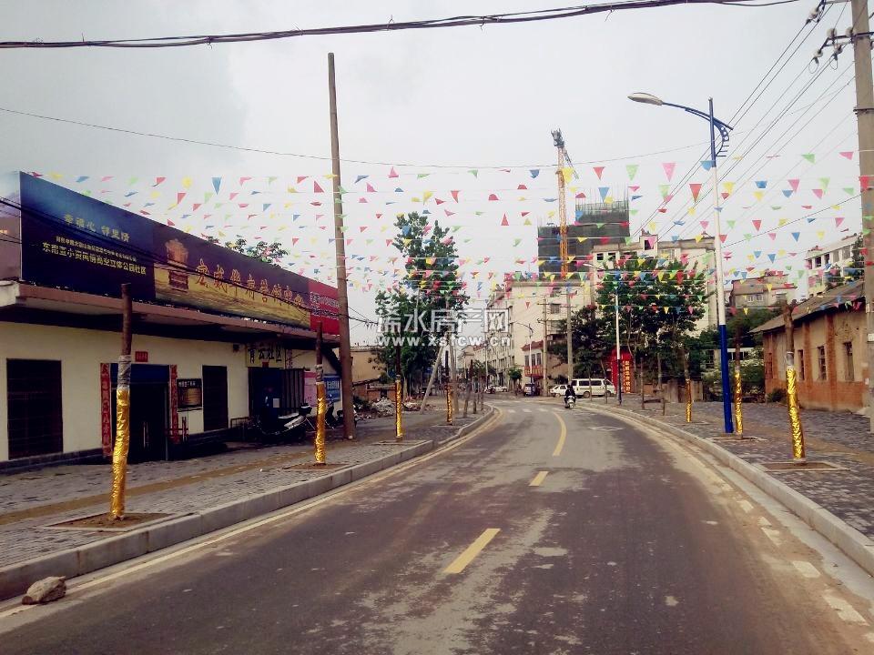 项目路段实景