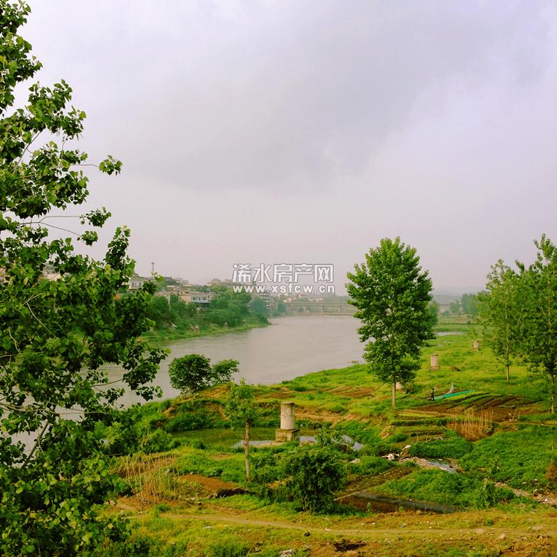 项目邻河实景