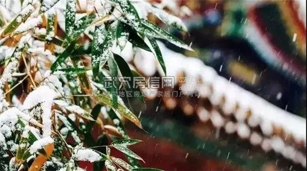 武穴房信网