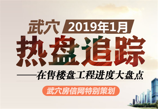 2019年1月武穴在售楼盘工程进度汇总