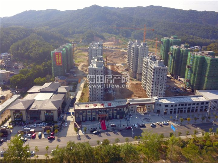 DJI_0011.jpg