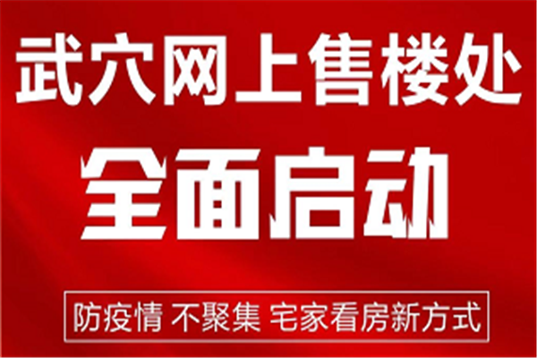 武穴房信网网上售楼处已全面启动