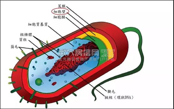 微信图片_20200205110938.jpg