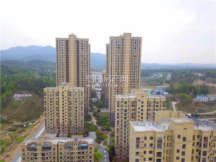 DJI_0020.JPG