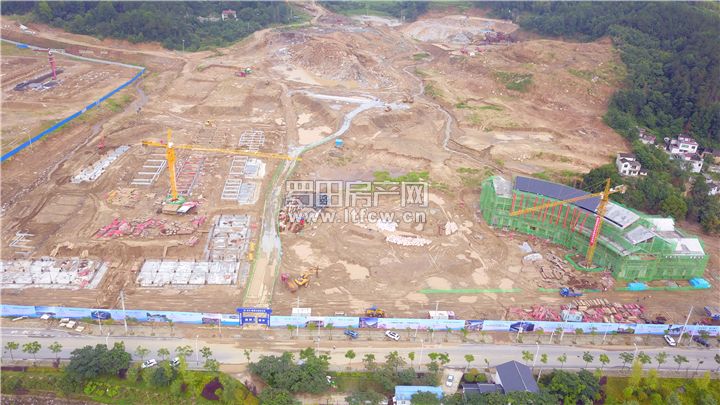 DJI_0123.JPG