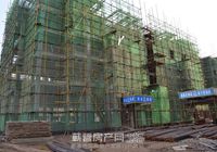 申丰·金色家园11月份工程进度  年底外立面可完成