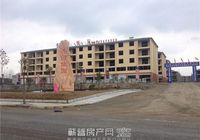 刘河齐河佳园3月最新工程进度 外墙完工或施工中
