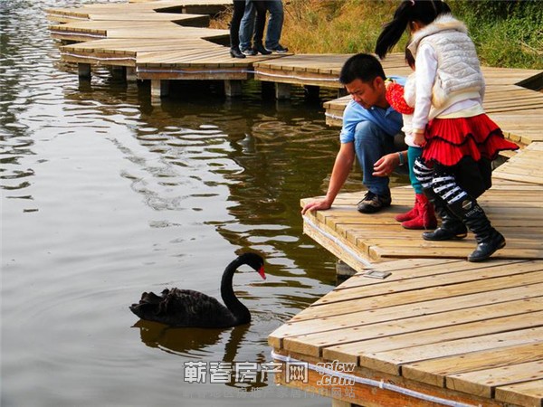 一岸两园藏艺境，富地.蕲河金岸2期荣献蕲春！