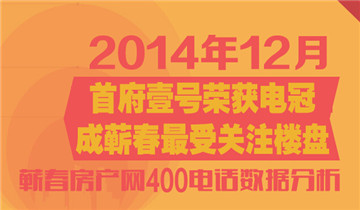 蕲春房产网400购房热线 12月份来电分析报告