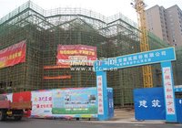 金桂城最新工程进度 楼栋外立面、绿化均已完工