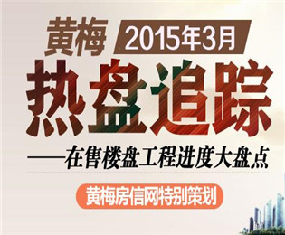 黄梅2015年3月热盘跟踪工程进度大盘点