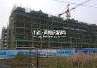 联投.滨江国际4月最新工程进度 整体施工中
