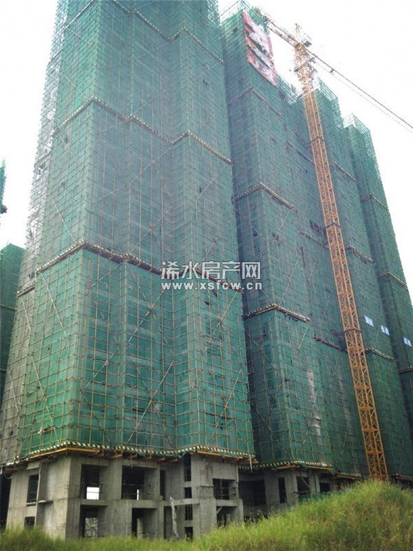 上海花园  8月最新工程进度   1#、2#已封顶