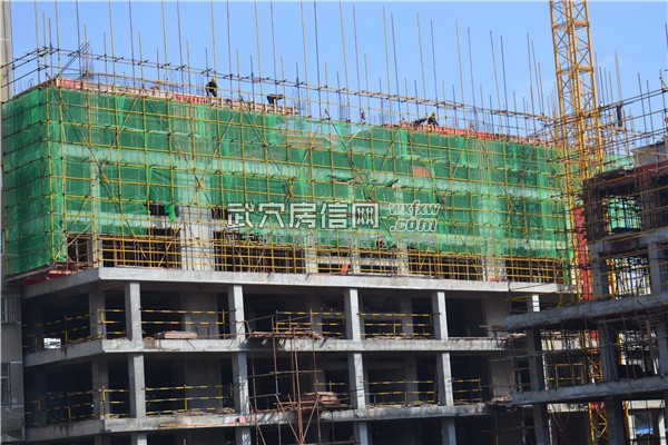 鑫兴华城 12月最新工程进度  基础施工