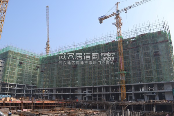 鑫兴华城 1月最新工程进度  基础施工