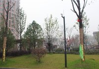 上海花园 入驻浠水精品示范区，成功置业首选！