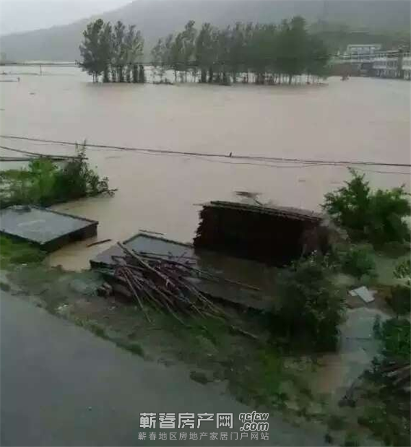 6月19日张榜镇洪水之灾，人员、房屋、经济损失惨重！