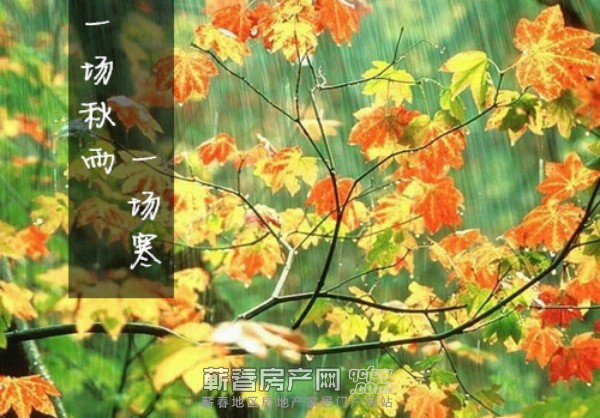 一场秋雨一场寒，寻个暖心小窝，新八·世纪华城