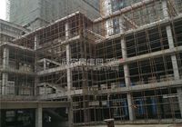 鑫兴华城 2月最新工程进度  商业部分框架完工