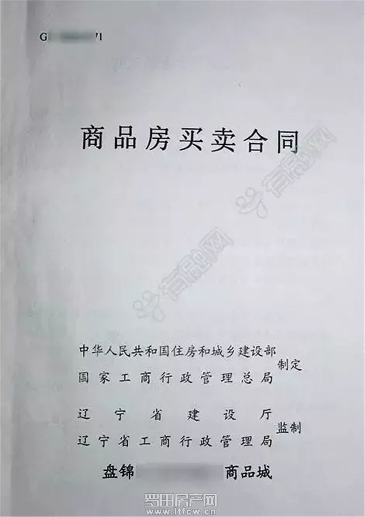 2.25-2.webp.jpg