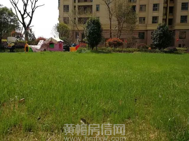 黄梅房信网