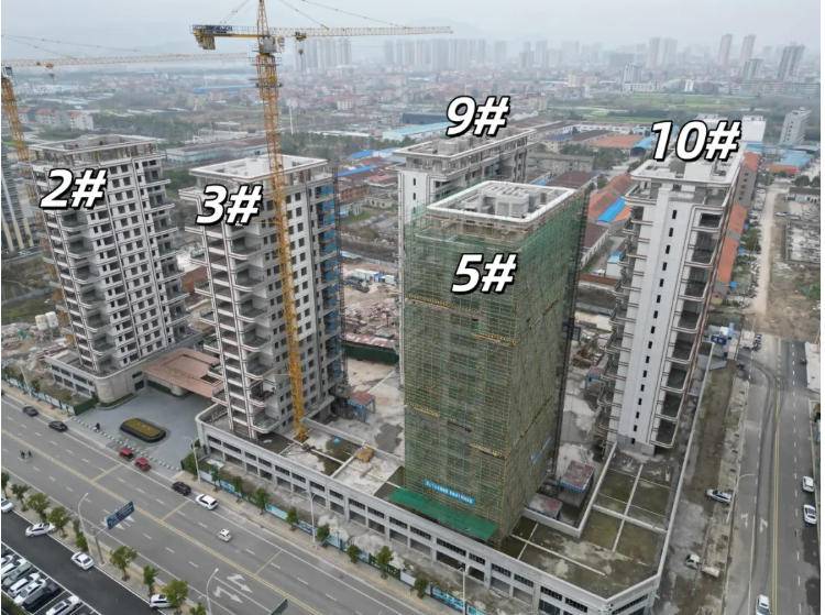 尚品院子｜3月工程进度播报：春风执笔，院境更新