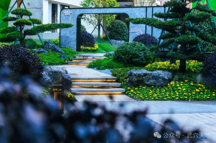 很久以后才明白，有个院子发呆，才是最大的幸福！