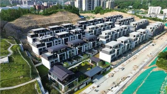 中石·沁园春六月家书 | 以蝉鸣为歌 赴光阴之诺