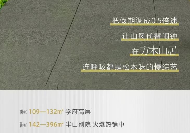 在方木山居，连呼吸都是松木味的慢综艺！
