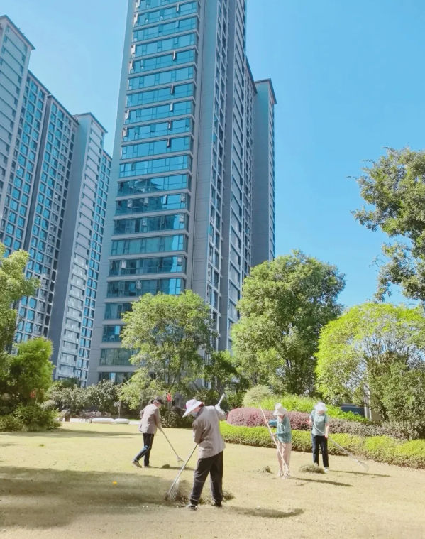 清洁家园· 焕新出发