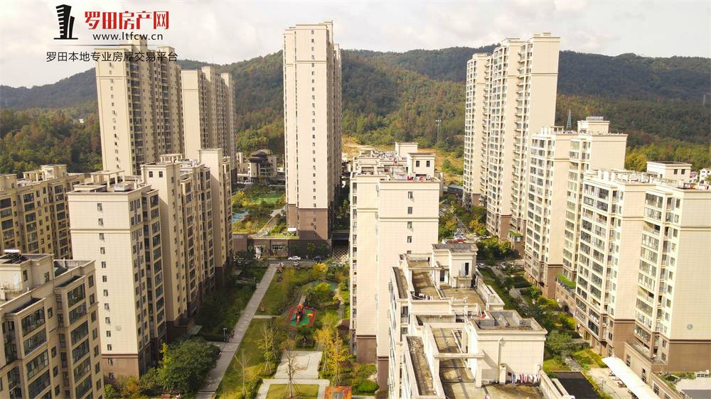 书香尚城｜城东实景，把诗画过成日常！