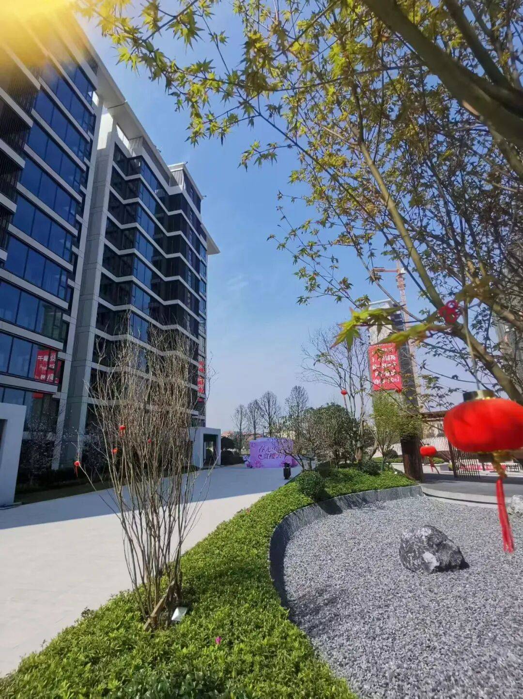 春风送暖百花香，山湖天玺补苗绿化忙！